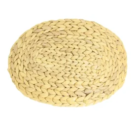 زیر بشقابی بیضیحصیری