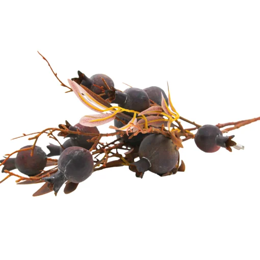 گل انار کد 10688