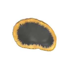 دیس بزرگ کد 10458