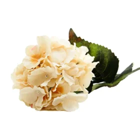 گل اورتانزیا کد 10102/6