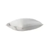 بالش آرگان